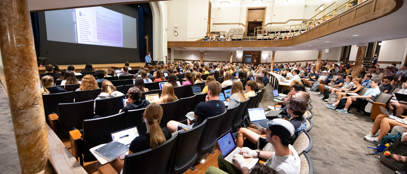 Students sitting in a lecture hall