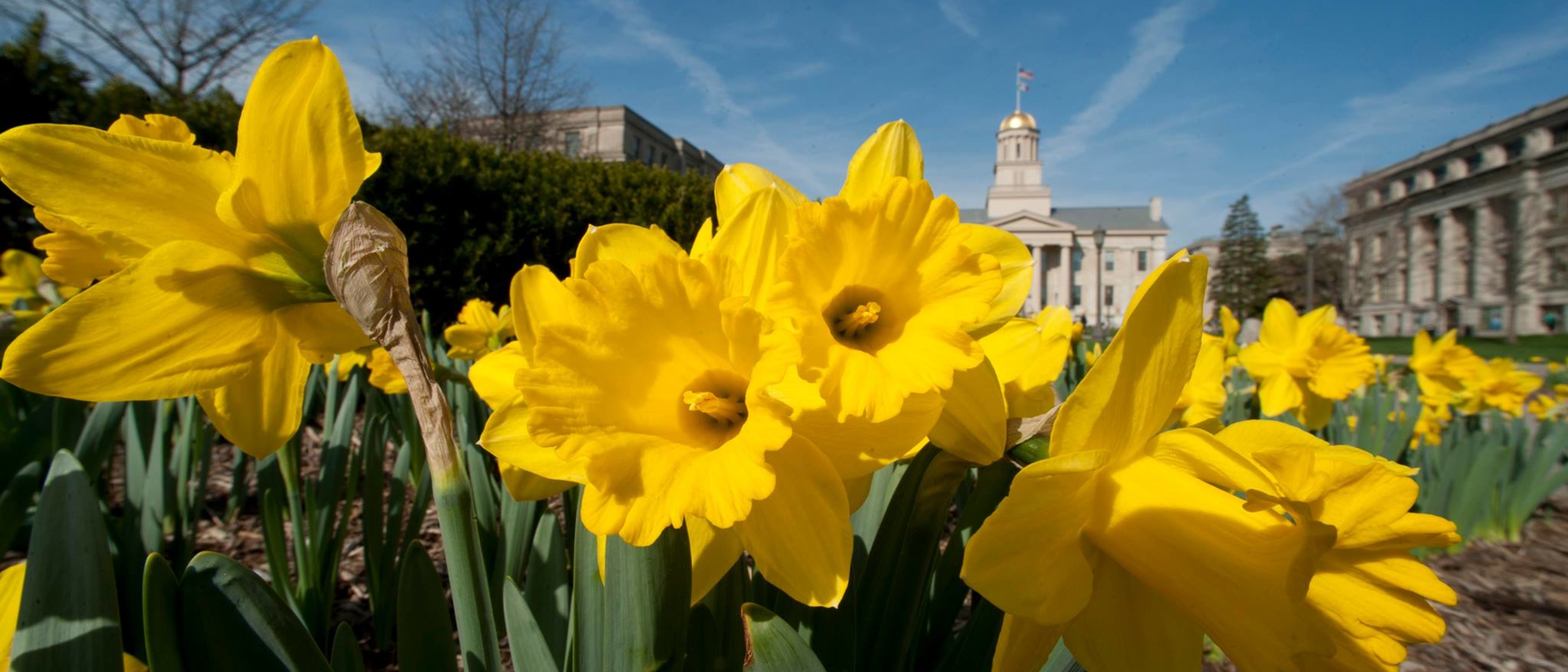 course-based-academic-success-academic-support-retention-the
